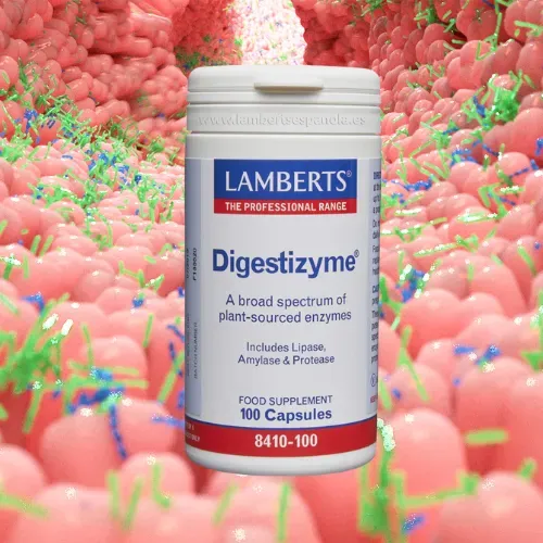 Digestizyme Enzimas Digestivas de Origen Vegetal Lamberts Suplemento Digestizyme Lamberts con enzimas digestivas de origen vegetal en cápsulas