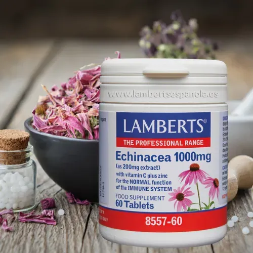 Equinácea 1000 mg con Vitamina C 40 mg y Zinc 25 mg Lamberts en comprimidos Suplemento Equinácea 1000 mg con Vitamina C y Zinc de Lamberts en comprimidos
