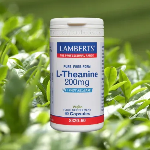 L-Teanina 200 mg en forma libre Lamberts en comprimidos Suplemento L-Teanina 200 mg de Lamberts en forma libre en comprimidos
