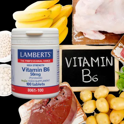 Vitamina B6 Piridoxina 50 mg Lamberts Suplemento Vitamina B6 Piridoxina 50 mg Lamberts en comprimidos