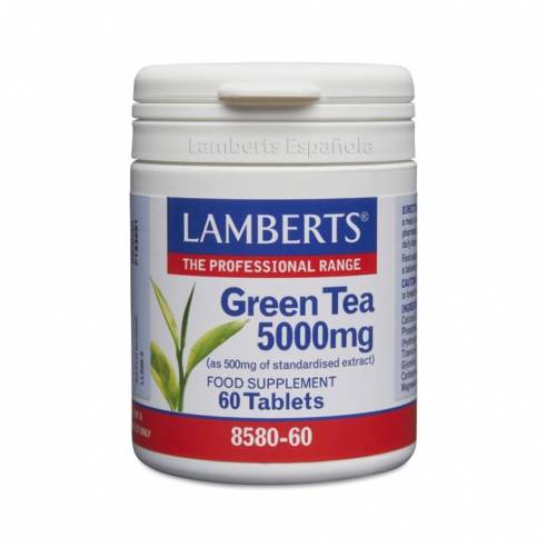 Té verde (Camellia sinensis) 500 mg como extracto con L-Teanina lamberts