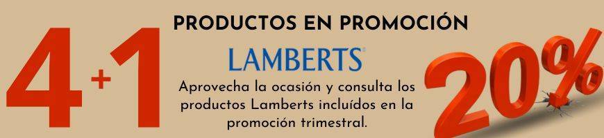 LAMBERTS PROMOCION 4+1