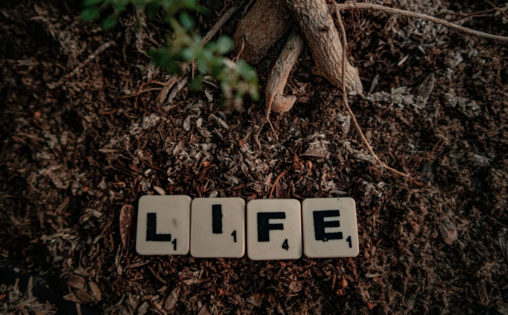 Cn Holistica, compromiso con el medio ambiente. Envases reciclables y Biodegradables