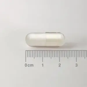 acetil l-carnitina de lamberts. aminoacido