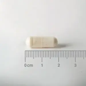 Acidophilus Extra 4 60 Caps. 4000 millones de bacterias amigas - cápsula