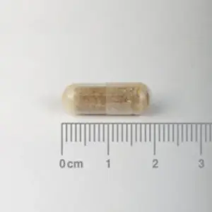 Ashwagandha (Withania somnifera) 6000 mg - cápsula