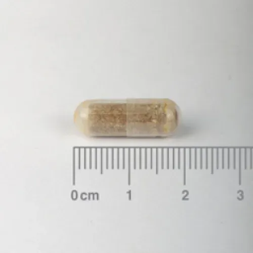 Ashwagandha (Withania somnifera) 6000 mg - cápsula