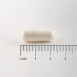 BCAA en Forma Libre de Lamberts proporciona aminoácidos esenciales en una forma lista para ser absorbida por el cuerpo. Cada cápsula ofrece una proporción óptima de L-leucina, L-isoleucina y L-valina para apoyar la masa muscular y el rendimiento deportivo