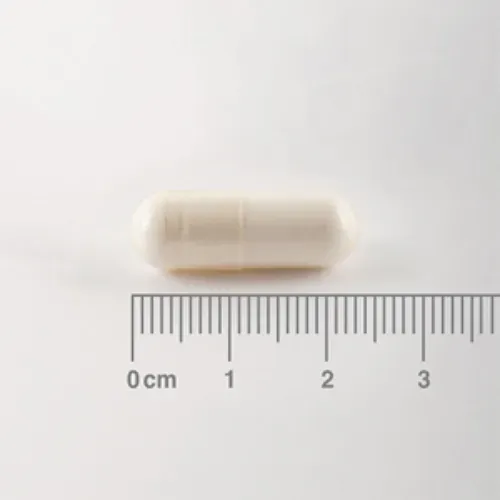 BCAA en Forma Libre de Lamberts proporciona aminoácidos esenciales en una forma lista para ser absorbida por el cuerpo. Cada cápsula ofrece una proporción óptima de L-leucina, L-isoleucina y L-valina para apoyar la masa muscular y el rendimiento deportivo