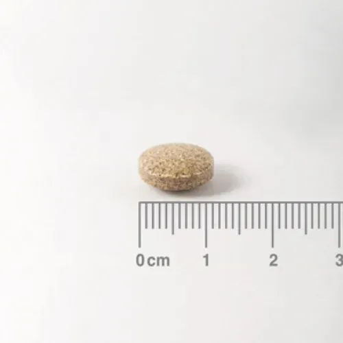 Ginkgo Biloba - tableta