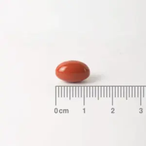 Jengibre 14.400 mg como extracto de la raíz - cápsula