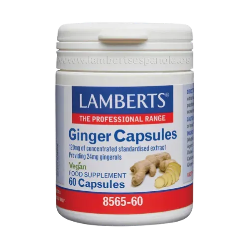 Jengibre 14.400 mg como extracto de la raíz