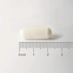 L-carnitina de lamberts, aminoacido