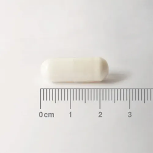 L-carnitina de lamberts, aminoacido