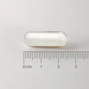 l-ornitina de lamberts