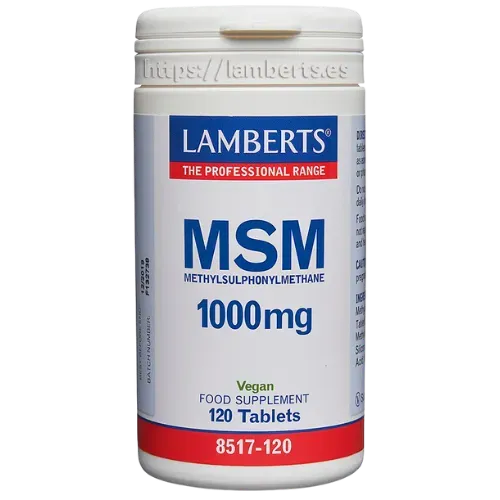 MSM 1.000 mg