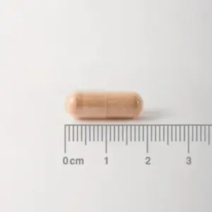 Pycnogenol® 40 mg es un Extracto de Corteza de Pino Marítimo - cápsula