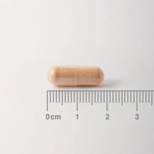 Pycnogenol® 40 mg es un Extracto de Corteza de Pino Marítimo - cápsula