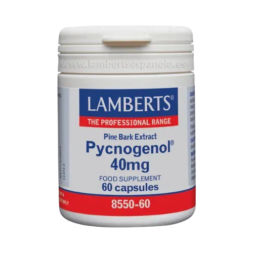 Pycnogenol® 40 mg es un Extracto de Corteza de Pino Marítimo