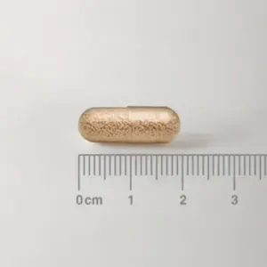Saccharomyces Cerevisiae Boulardii 300 mg - cápsula