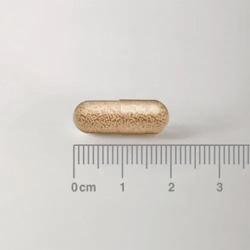 Saccharomyces Cerevisiae Boulardii 300 mg - cápsula