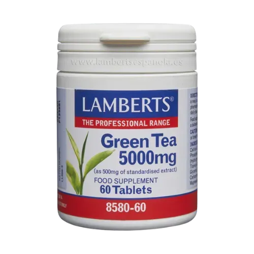 Té verde (Camellia sinensis) 500 mg como extracto con L-Teanina