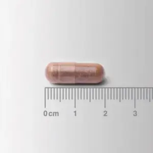 Cápsula del cogni-focus con extracto de galangal