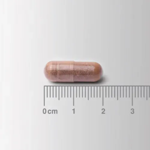 Cápsula del cogni-focus con extracto de galangal