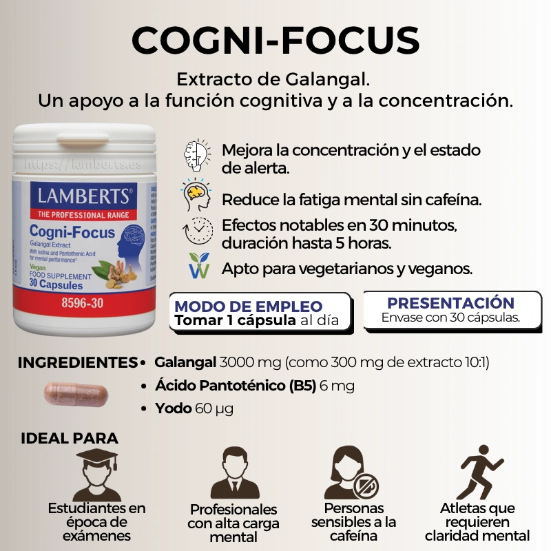 Infografía del suplemento Cogni Focus de Lamberts para concentración, memoria y rendimiento mental. Cn Holística